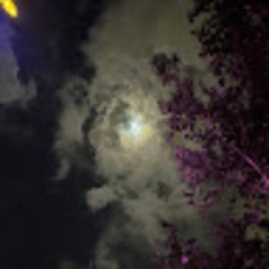 Meet your Posher, Liz